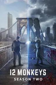 Movie poster of 12 Monkeys (Season 2)