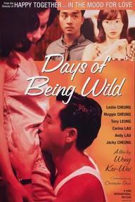 Movie poster of Days of Being Wild