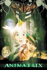 Movie poster of The Animatrix