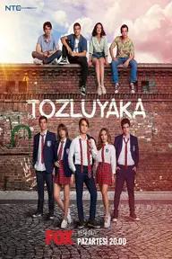 Movie poster of Tozluyaka 