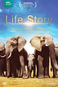 Movie poster of Life Story