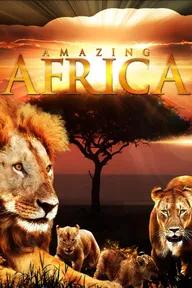 Movie poster of Amazing Africa