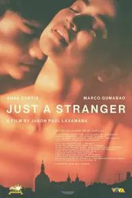 Movie poster of Just A Stranger