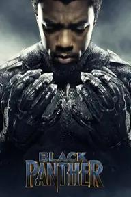 Movie poster of Black Panther