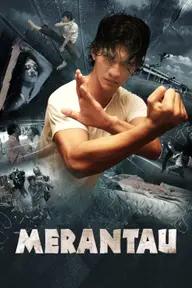 Movie poster of Merantau