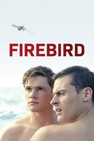 Movie poster of Firebird