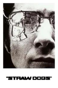 Movie poster of Straw Dogs