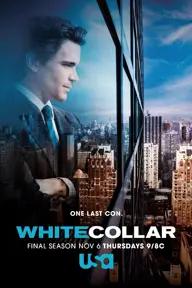 Movie poster of White Collar (Season 6)