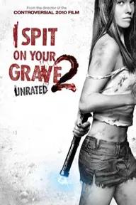 Movie poster of I Spit on Your Grave 2