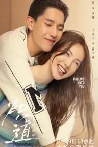 Movie poster of Falling Into You