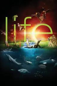 Movie poster of BBC: Life