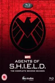 Movie poster of Marvel's Agents Of S.H.I.E.L.D. (Season 2)