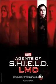 Movie poster of Marvel's Agents of S.H.I.E.L.D. (Season 4)