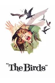 Movie poster of The Birds