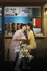 Movie poster of Love the way you are