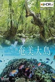 Movie poster of Amami Ashima Island