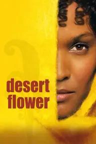 Movie poster of Desert Flower