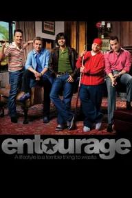 Movie poster of Entourage (Season 3)