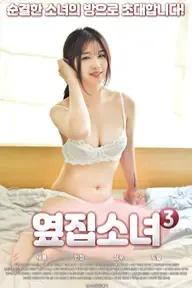 Movie poster of The Girl Next Door 3