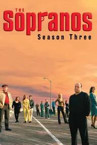 Movie poster of The Sopranos (Season 3)