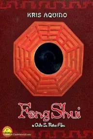 Movie poster of Feng Shui