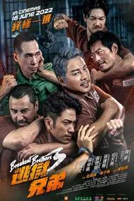 Movie poster of Breakout Brothers 3