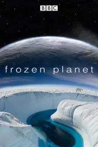 Movie poster of Frozen Planet