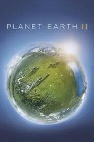 Movie poster of Planet Earth II