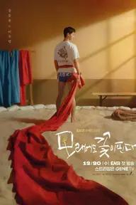 Movie poster of The Sand Flower