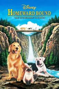 Movie poster of Homeward Bound: The Incredible Journey