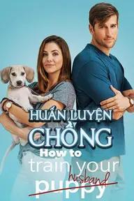 Movie poster of How to Train Your Husband