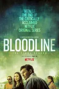 Movie poster of Bloodline (Season 3)