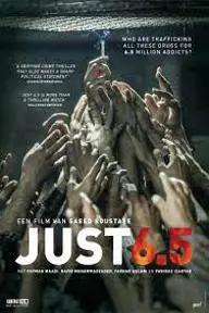 Movie poster of Just 6.5