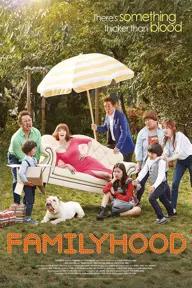 Movie poster of Familyhood