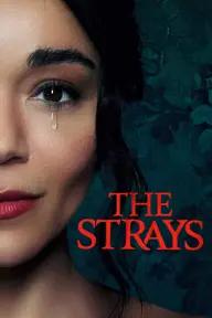 Movie poster of The Strays