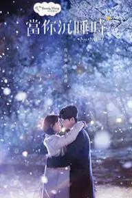 Movie poster of while you were sleeping