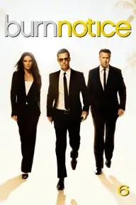 Movie poster of Burn Notice (Season 6)