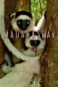 Movie poster of Madagascar