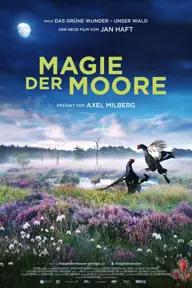 Movie poster of Magie der Moore