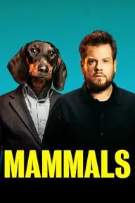 Movie poster of Mammals