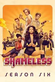 Movie poster of Shameless (Season 6)