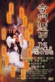 Movie poster of Miracle Fighters