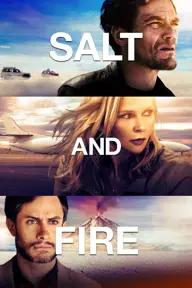 Movie poster of Salt and Fire