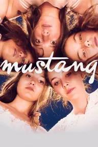 Movie poster of Mustang