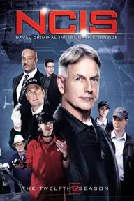 Movie poster of NCIS Season 12