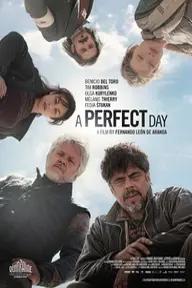 Movie poster of A Perfect Day