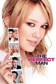 Movie poster of The Perfect Man