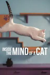 Movie poster of Inside the Mind of a Cat