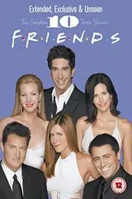 Movie poster of Friends (Season 10)