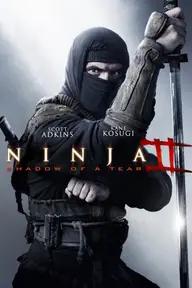 Movie poster of Ninja: Shadow of a Tear